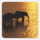 Search for okavango delta stickers Fauna