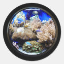 Search for fish aquarium stickers Water