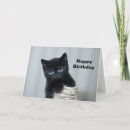 Search for black kitten birthday cards Cute