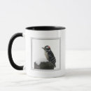 Search for woodpecker mugs Snow