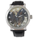Search for horse watches Wild horses