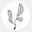 Search for sea plants stickers Flora