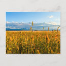 Search for sunrays postcards Clouds
