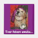 Search for fortune magnets Crystal ball
