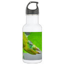 Search for lizard water bottles Animal