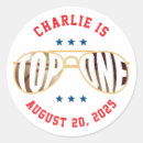 Search for pilot stickers Fighter jet