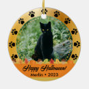 Search for family with dog christmas tree decorations For pets