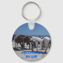 Search for sea horse key rings Horses