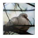 Search for wildlife tiles Tree