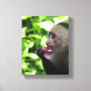 Search for monkey painting canvas prints Jungle