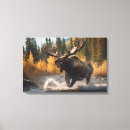 Search for moose canvas prints Elk