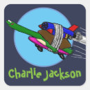 Search for funny turtle stickers Tortoise