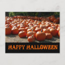 Search for thanksgiving postcards October
