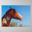 Search for war horse posters Feathers