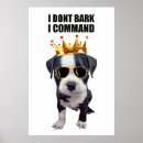 Search for funny dog posters Humour