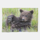 Search for brown bear tea towels Alaska