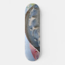 Search for antique skateboards Old