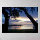 Search for dora posters Florida
