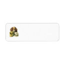 Search for akc cards invites Animal
