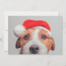 Search for jack russell dog cards Puppy