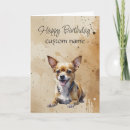 Search for chihuahua cards Pet