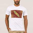 Search for fractal tshirts Mandelbrot