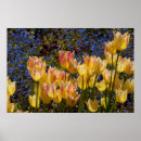 Search for nots posters Flowers