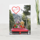 Search for funny dog anniversary cards Labrador