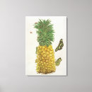 Search for caterpillar art Botanical