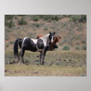 Search for casino posters Horse