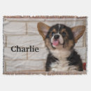 Search for pembroke welsh corgi blankets Animal