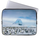Search for penguin laptop cases Bird