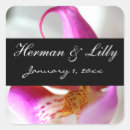 Search for insider stickers Stylish