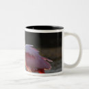 Search for spoonbills mugs Florida