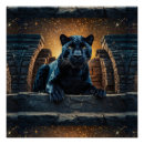 Search for black panthers posters Big cats