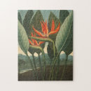 Search for bird of paradise puzzles Botanical