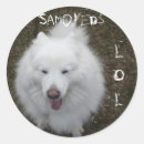 Search for fluffy dog stickers White