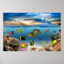 Search for coral reef posters Tropical fish