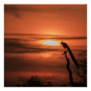 Search for beautiful sunrise art Bird