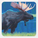 Search for state of origin stickers Lantern