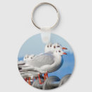 Search for seagull key rings Gulls