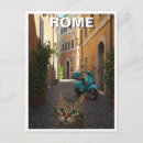Search for cobblestones postcards Souvenir