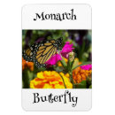 Search for monarch butterfly magnets Wildlife