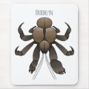 Search for hermit electronics Crab