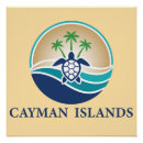Search for cayman posters Turtle