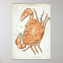Search for cancer zodiac sign posters Vintage