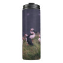 Search for atlantic mugs Wildlife