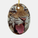 Search for bengal cat christmas tree decorations Wildlife