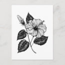 Search for vector drawing cards invites Black