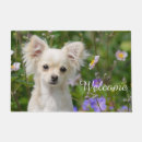Search for chihuahua doormats Animal